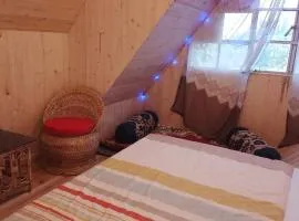 Cozy Nest Homestay