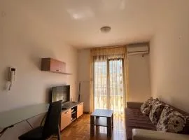 Apartment Pegaz