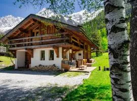 Chalet Taconnaz - Warm & Cosy 3BR Chalet with Fireplace in Nature - By Cozee Rentals