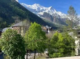 Appart Les Cosmiques, Vue Mont Blanc - Aiguille du Midi