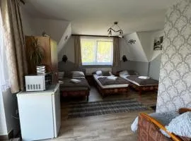 Pokoje i Apartamenty Regionalny Styl ul Króle 1a Zakopane