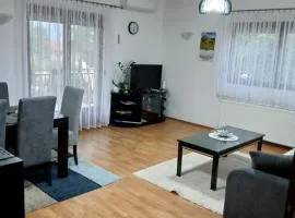 Apartman AM Mladenović