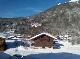 Chalet cosy au pied du Mont Blanc