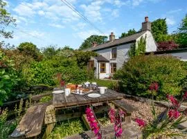 Hollow Tree Cottage