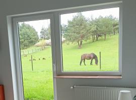 Pokoje gościnne Trąbki Małe k.Gdańska, hotel u gradu 'Trąbki Małe'