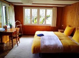 Hostel Sonnenhof Wengen