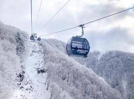 山のホテル大瀧, hotel di Nozawa Onsen