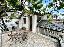 Interbelic house with courtyard and terrace