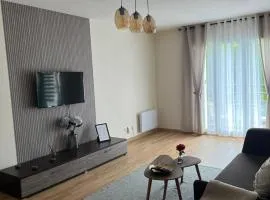 Superbe Appartement tout équipé, Coins cosy à Metz gare, 50M2, Parking privé, Balcon, 2p