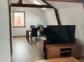 Freshly renovated cosy apartment