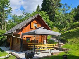 Cottage Ladybug, casa de temporada em Mojstrana