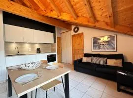 Appartement T2 au centre de Samoëns avec parking, animaux acceptés - FR-1-624-43