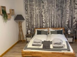 Forest Apartment-Forest Escape Menzenschwand, hotel en St. Blasien