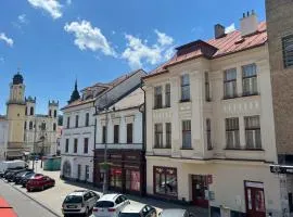 Apartman TRZNICA