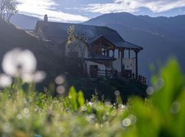 Zeneli Alpin Chalet，位于Çerem的旅馆