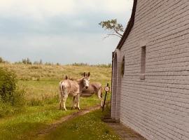 Petit Bayou Eco-Tourism, cottage à Malines