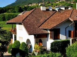 Urlaub auf dem Bauernhof Schmidhof - große Terrasse, Pool und beste Lage