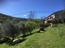 Studio Julijana, Salara farmhouse