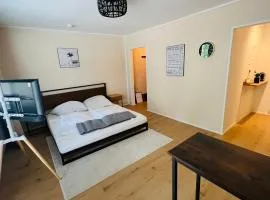 1 Zimmer Apartment Netflix Balkon Sana Klinik No1