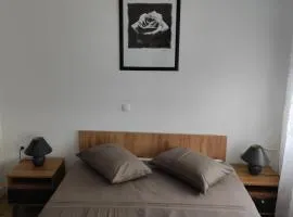 Studio apartman Rose