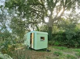 Olívia - caravana vintage em Castelo de Vide