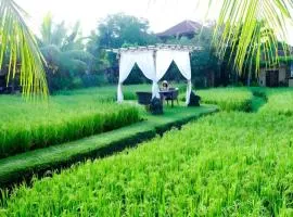 Bebek Tepi Sawah Villa And Spa