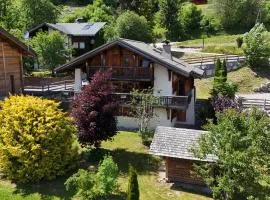 Chalet Leonie - 10 pers - proche centre