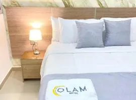 Hotel Olam Deluxe Valledupar