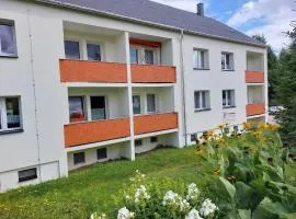 Appartement in Weitersglashütte mit Grill und Garten - b48494