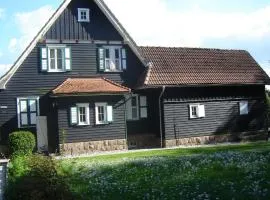 Freistehendes Ferienhaus in ruhiger Lage - b56572