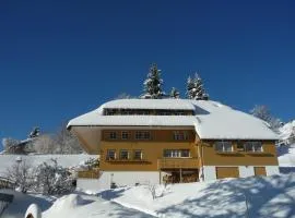 Berghof Almzeit - Fewo "Heuboden", Sauna , Todtnauberg, Feldberg