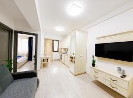 DEKO Apartments & Studios Near Palas Mall, διαμέρισμα σε Iaşi