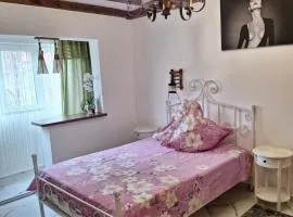 Apartament ELVIRA Băile Herculane