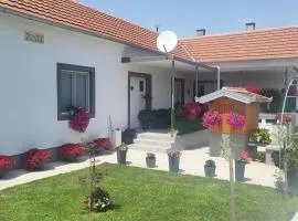 Villa Ruža