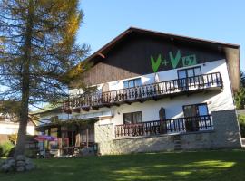 V+V Pension, hôtel à Harrachov