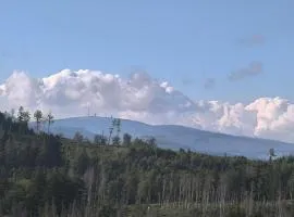 Waldperle Brockenblick im Panoramic Oberharz