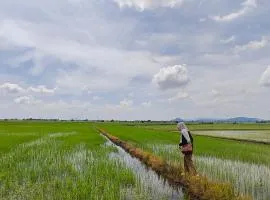 RumaKita Alor Setar Paddy View Netflix M0slim Only