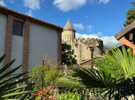 Old house apartment with Garden area