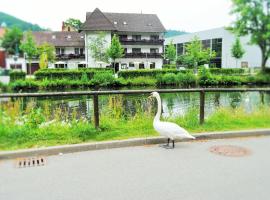 Hotel Schiff Nagold, hotel u gradu 'Nagold'