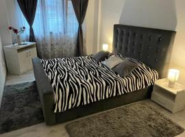 Apartament NECTARIA, hotel i Băile Herculane