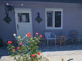 The Purple House-Villa in Bucharest, hotel din București