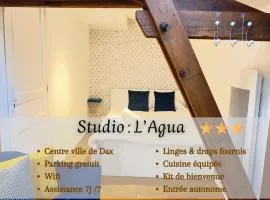 L'Agua, centre-ville de Dax