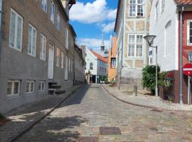 Hyggelig lejlighed i baggård, Hotel in Haderslev