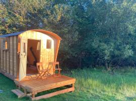 Shepherds Hut on Alpaca and working farm, luksusleirintäpaikka kohteessa Blaenau-Ffestiniog