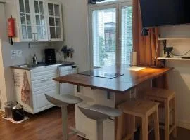 Remontoitu asunto vanhassa talossa - Renovated apartment at the heart of Turku