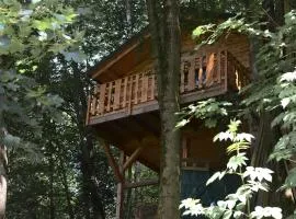 Treehouse Velké Losiny