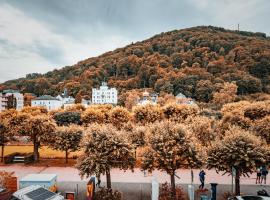 Palatium Bad Ems โรงแรมในบัดเอมส์