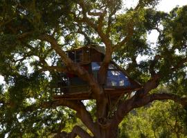 Tree house da Lage, къмпинг в Сао Луис