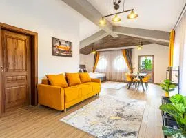 Unique and Cozy ApartHotel in Brasov