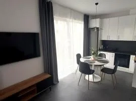 Apartament Sady